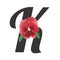 Letter K with single red pansy flower. Garden violet.