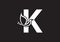 This is a letter K text added by Butterfly design