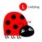 Letter L. Ladybug ladybird. Zoo animal alphabet. English abc with cute cartoon kawaii funny baby insect animals. Education cards