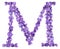 Letter M from alphabet, from flowers of violet, isolated on white background