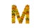 Letter M from autumn maple leaves. Alphabet from green, yellow and orange leaves