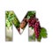 Letter M made of real grapes