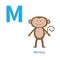 Letter M Monkey Zoo alphabet. English abc with animals Education cards for kids White background Flat design