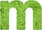 Letter m with texture of fern leaves, font Helvetica Word