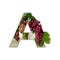 Letter A made of real grapes