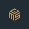 Letter MCS Cube Logo Design