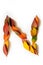 Letter N of colorful autumn leaves. Character N mades of fall foliage. Autumnal design font concept. Seasonal decorative beautiful