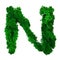 Letter N of the English alphabet made from green stabilized moss, isolated on white background