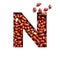 Letter N of English alphabet made of natural peanuts and paper cut isolated on white. Typeface of nuts