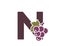 letter n with grapes. fruit alphabet logo. gardening, harvest and winemaking design