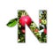 Letter N made of fresh fruit