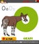 Letter O from alphabet with okapi animal character