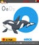 Letter O from alphabet with orca animal character