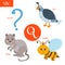 Letter Q. Cartoon alphabet for children. Quail, question, queen