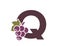 letter q with grapes. fruit alphabet logotype. gardening, harvest and winemaking design