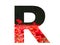 Letter R of the alphabet made with a red poppy sticking out above the field of poppies with a dark background