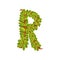 Letter R, English alphabet made of tree branches, ecology element for banner, card, label, presentation or poster vector
