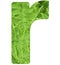 Letter r with texture of fern leaves, font Helvetica Word