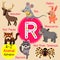 Letter R tracing. Rabbit. Raccoon. Rat. Red Panda. Reindeer. Rhinoceros, Red Knee Tarantula