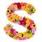 Letter S alphabet with flower ABC concept type as logo isolated