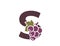 letter s with grapes. fruit and organic food alphabet logo. gardening, harvest and winemaking design