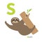 Letter S Sloth hanging on tree Zoo alphabet. English abc with animals Education cards for kids White background Flat desi