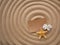 Letter in the sand. Craft paper with a white flower and a starfish on sand in the shape of a spiral. beach holiday, Zen