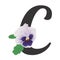 Letter Ð¡ with single pansy flower white, purple