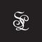 Letter sl symbol curves linked ribbon overlap logo vector