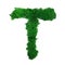 Letter T of the English alphabet made from green stabilized moss, isolated on white background