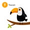 Letter T. Toucan. Toco. Big beak. Exotic tropical bird. Zoo animal alphabet. English abc with cute cartoon kawaii funny baby