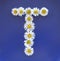 Letter T from white flowers, daisies, bellis perennis, close-up, on blue background