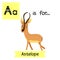A letter tracing. Antelope.
