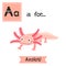 A letter tracing. Axolotl.