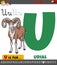Letter U from alphabet with cartoon urial animal character