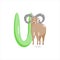 Letter U. Children's alphabet, cute urial. Vector illustration for learning English.