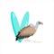 Letter V. Children's alphabet, cute vulture. Vector illustration for learning English.
