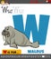 Letter W from alphabet with cartoon walrus animal character