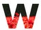 Letter W of the alphabet made with a red poppy sticking out above the field of poppies with a dark background