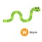 Letter W. Worm. Zoo animal alphabet. English abc with cute cartoon kawaii funny baby insect animals. Education cards for kids.