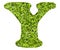 Letter Y - Artificial green grass background. Top view