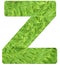 Letter z with texture of fern leaves, font Helvetica Word