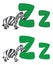 Letter Z zebra