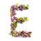 The letter Â«EÂ» made of various natural small flowers.