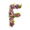 The letter Â«FÂ» made of various natural small flowers.