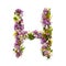 The letter Â«HÂ» made of various natural small flowers.