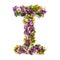 The letter Â«IÂ» made of various natural small flowers.
