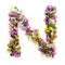 The letter Â«NÂ» made of various natural small flowers.