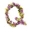 The letter Â«QÂ» made of various natural small flowers.