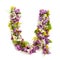 The letter Â«UÂ» made of various natural small flowers.